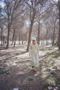 ⁦שמלת עלמה פרחונית⁩ – תמונה ⁦4⁩