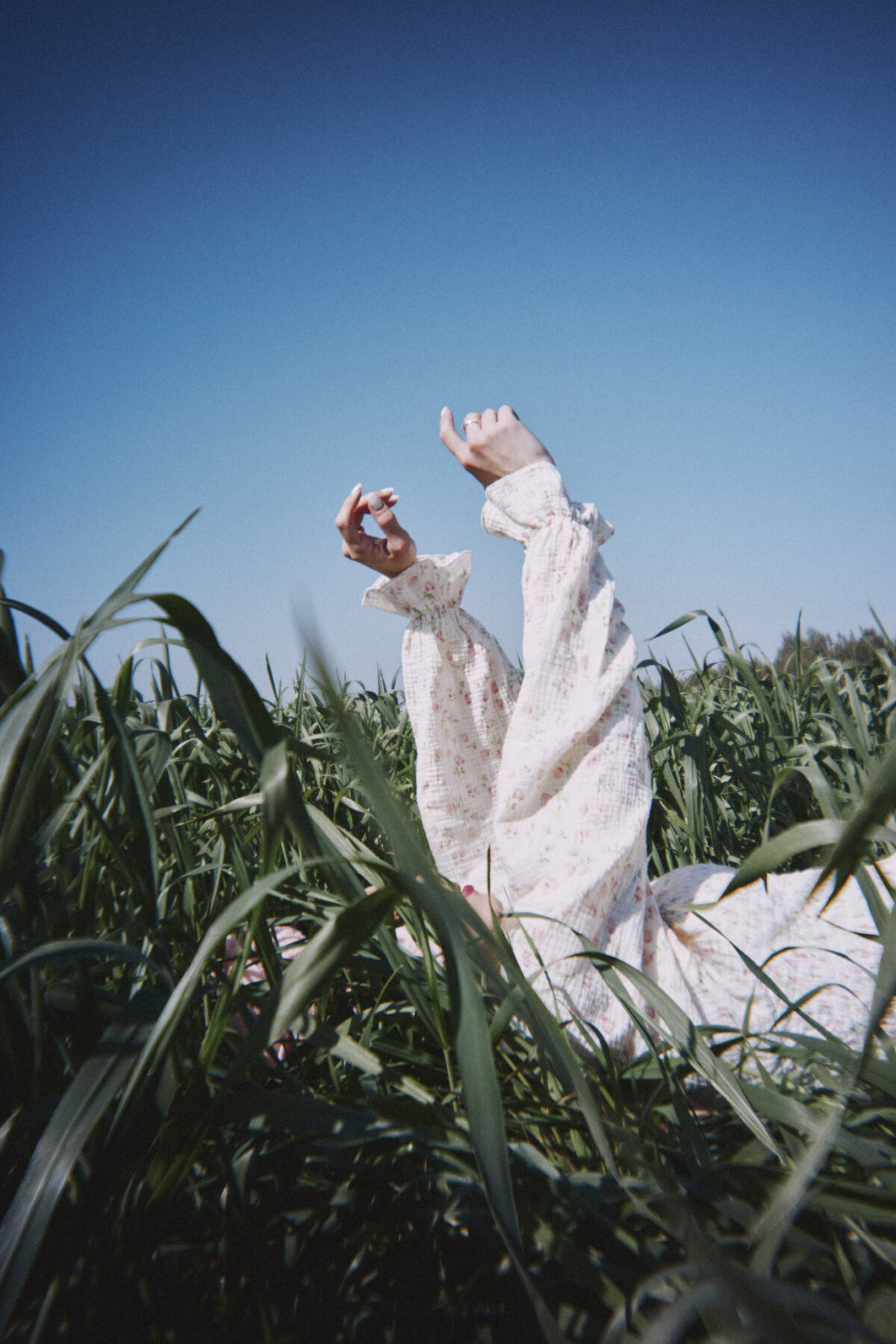 ⁦שמלת שושנה ורדים⁩ – תמונה ⁦4⁩