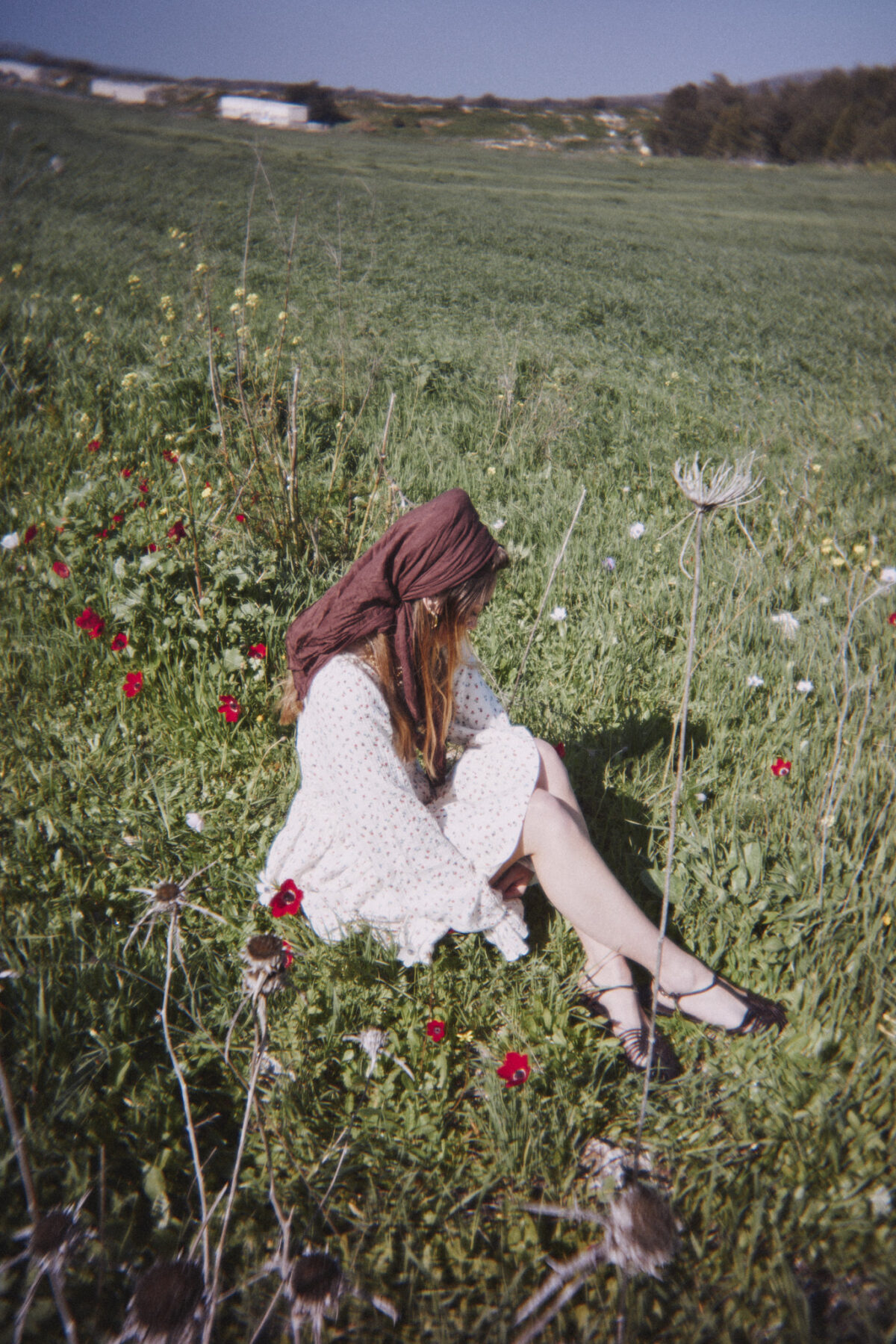 ⁦שמלת שושנה פרחוני צבעוני⁩ – תמונה ⁦8⁩